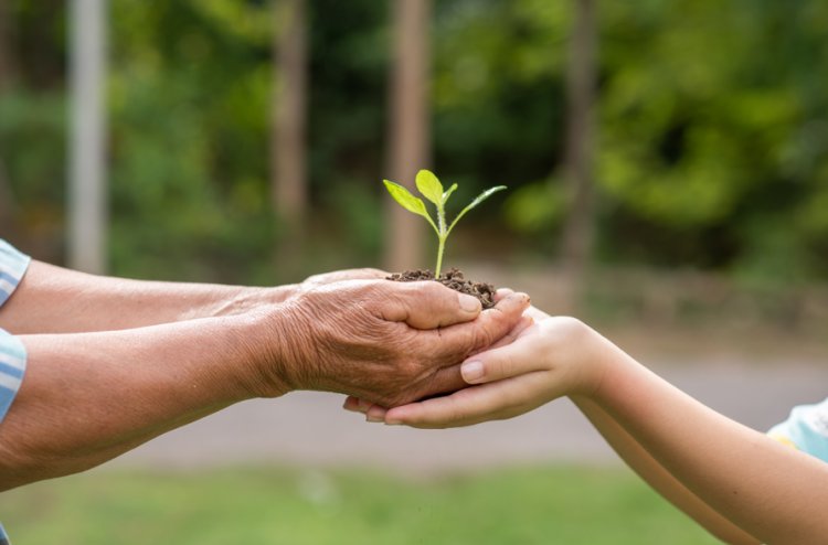 SEMANA DO MEIO AMBIENTE - Doação de mudas na Praça da Matriz