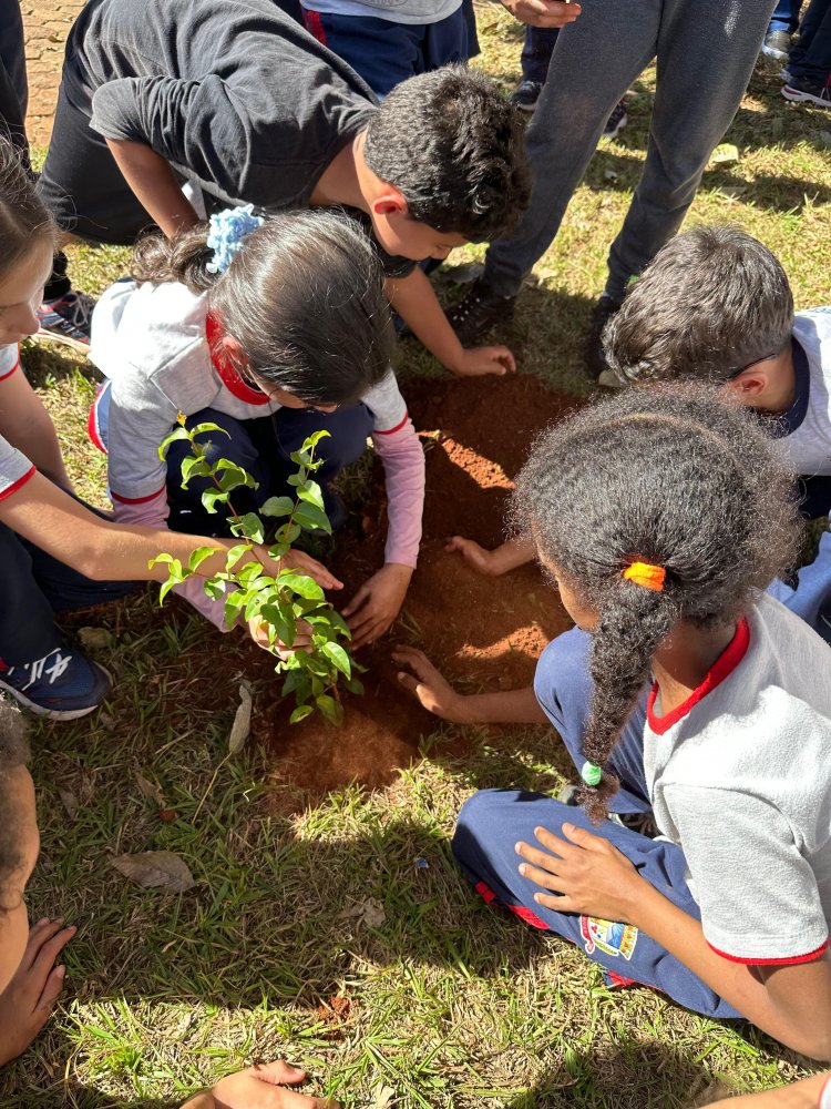 EDUCAÇÃO AMBIENTAL - Cidade promove conscientização e atividades ambientais